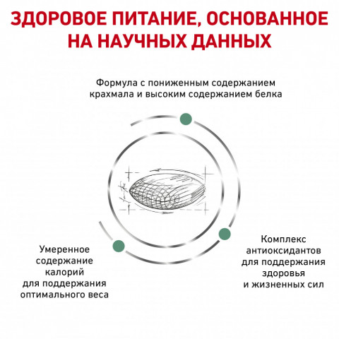 Royal Canin Diabetic лечебный сухой корм для кошек при сахарном диабете - 400 г