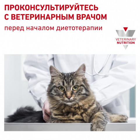 Royal Canin Diabetic лечебный сухой корм для кошек при сахарном диабете - 400 г