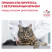 Royal Canin Diabetic лечебный сухой корм для кошек при сахарном диабете - 400 г