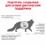 Royal Canin Hepatic HF26 Feline сухой корм для кошек при болезнях печени - 2 кг