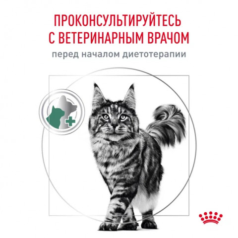 Royal Canin SATIETY WEIGHT MANAGEMENT (Корм сухой полнорационный диетический для взрослых кошек), 400 г