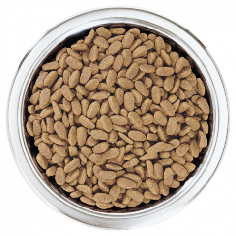 Сухой корм Pro Plan Adult Small&Mini Sensitive Skin для собак мелких пород с чувствительной кожей с лососем и рисом - 7 кг