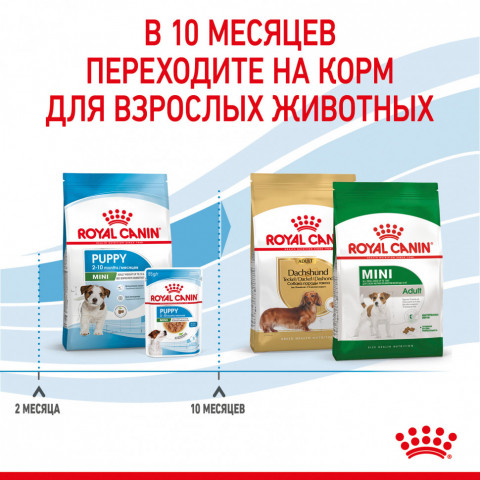 Royal Canin Mini Puppy сухой корм для щенков мелких пород до 8 месяцев - 2 кг
