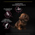 Purina Pro Plan Sensitive Skin сухой корм для щенков мелких и карликовых пород с чувствительной кожей с лососем и рисом - 3 кг