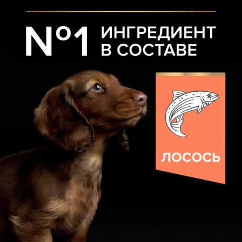 Purina Pro Plan Sensitive Skin сухой корм для щенков мелких и карликовых пород с чувствительной кожей с лососем и рисом - 3 кг