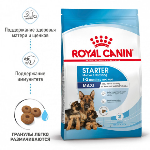 Royal Canin Maxi Starter сухой корм для щенков крупных пород в период отъема до 2 - месячного возраста, беременных и кормящих сук - 15 кг