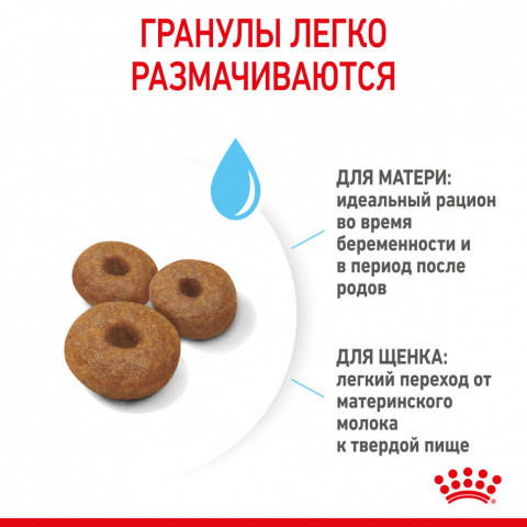 Royal Canin Maxi Starter сухой корм для щенков крупных пород в период отъема до 2 - месячного возраста, беременных и кормящих сук - 15 кг