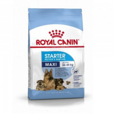 Royal Canin Maxi Starter сухой корм для щенков крупных пород в период отъема до 2 - месячного возраста, беременных и кормящих сук - 15 кг