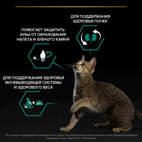 Pro Plan Adult Sterilised OptiRenal сухой корм для взрослых стерилизованных кошек с индейкой - 10 кг