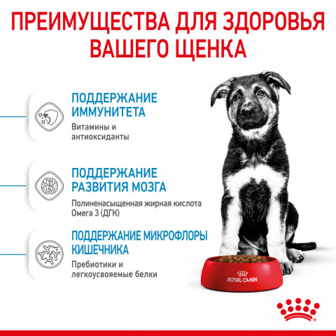 Royal Canin Maxi Puppy сухой корм для щенков крупных пород до 15 месяцев - 3 кг