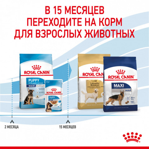Royal Canin Maxi Puppy сухой корм для щенков крупных пород до 15 месяцев - 3 кг