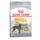 Royal Canin Maxi Dermacomfort сухой корм для собак крупных пород, склонных к разражению кожи и зуду - 10 кг
