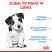 Royal Canin Mini Puppy сухой корм для щенков мелких пород до 8 месяцев - 800 г