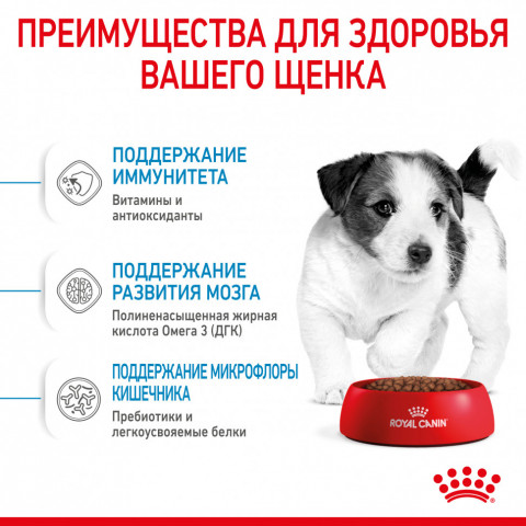 Royal Canin Mini Puppy сухой корм для щенков мелких пород до 8 месяцев - 800 г