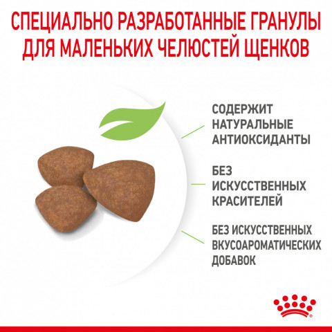 Royal Canin Mini Puppy сухой корм для щенков мелких пород до 8 месяцев - 800 г