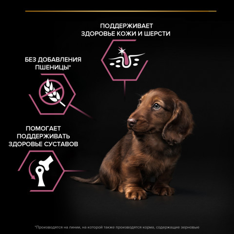 Pro Plan Opti Derma Small Mini сухой корм для щенков мелких и карликовых пород при чувствительной коже с лососем - 700 г