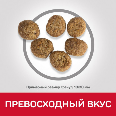Сухой корм Hills Science Plan для котят для здорового роста и развития, с курицей - 300 г