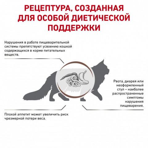 Royal Canin Gastro Intestinal GI32 для кошек при нарушении пищеварения - 400 г