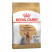 Royal Canin Yorkshire Terrier Adult сухой корм для собак породы йоркширский терьер в возрасте от 10 месяцев - 500 г
