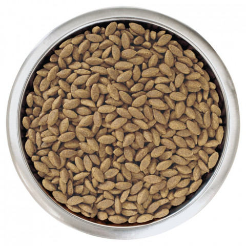 Purina Pro Plan Medium & Large Adult 7+ cухой корм для взрослых собак средних и крупных пород старше 7 лет с лососем и рисом - 3 кг