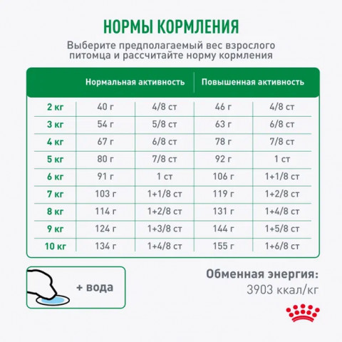 Royal Canin Mini Adult 8+ для взрослых собак мелких размеров (до 10 кг) старше 8 лет, 4 кг