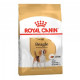 Royal Canin Beagle Adult сухой корм для взрослых собак породы бигль - 3 кг