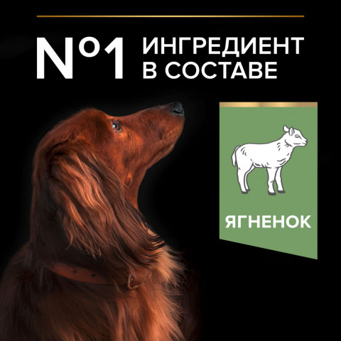 Pro Plan Adult Small&Mini Sensitive Digestion сухой корм для собак мелких пород с чувствительным пищеварением с ягненком и рисом - 3 кг