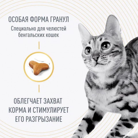 Royal Canin BENGAL ADULT (Корм сухой полнорационный сбалансированный  для взрослых кошек бенгальской породы старше 12 месяцев), 400 г