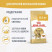 Royal Canin BENGAL ADULT (Корм сухой полнорационный сбалансированный  для взрослых кошек бенгальской породы старше 12 месяцев), 400 г