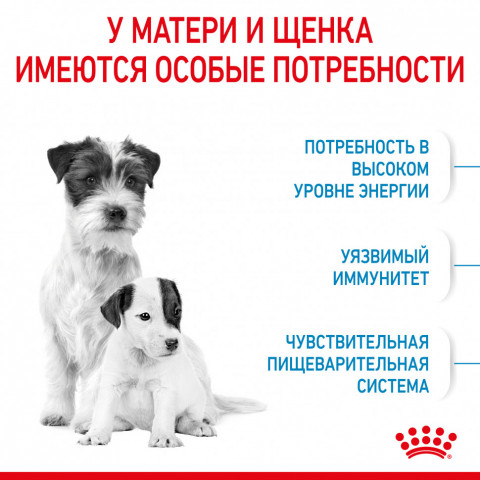 Royal Canin Mini Starter Mother & Babydog сухой корм для щенков до 2 месяцев мелких пород - 3 кг
