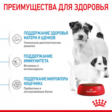 Royal Canin Mini Starter Mother & Babydog сухой корм для щенков до 2 месяцев мелких пород - 3 кг