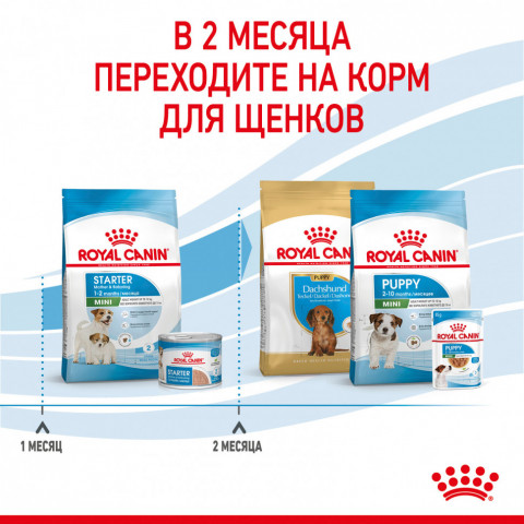 Royal Canin Mini Starter Mother & Babydog сухой корм для щенков до 2 месяцев мелких пород - 3 кг