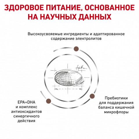 Royal Canin Gastro Int. Moderate Calorie GIM35 сухой корм с умеренным содержанием энергии для кошек при нарушении пищеварения - 2 кг