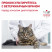 Royal Canin Gastro Int. Moderate Calorie GIM35 сухой корм с умеренным содержанием энергии для кошек при нарушении пищеварения - 2 кг