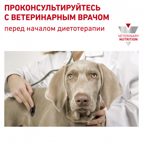 Royal Canin Diabetic DS37 для собак страдающих сахарным диабетом - 1,5 кг