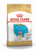 Royal Canin French Bulldog Puppy (Корм сухой для щенков породы Французский Бульдог до 12 месяцев), 3 кг