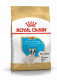 Royal Canin French Bulldog Puppy (Корм сухой для щенков породы Французский Бульдог до 12 месяцев), 3 кг