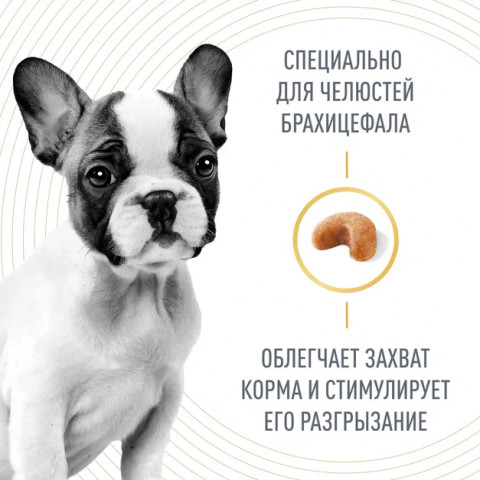 Royal Canin French Bulldog Puppy (Корм сухой для щенков породы Французский Бульдог до 12 месяцев), 3 кг