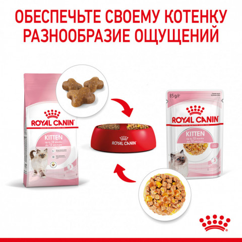 Royal Canin Kitten паучи для котят до 12 месяцев кусочки в желе - 85 г*24 шт
