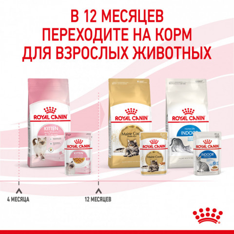 Royal Canin Kitten паучи для котят до 12 месяцев кусочки в желе - 85 г*24 шт