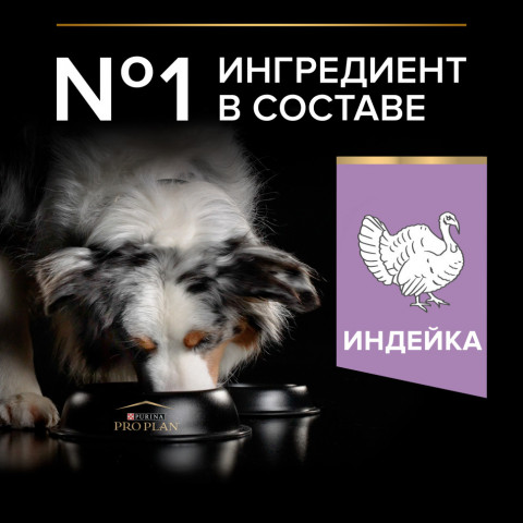 Purina Pro Plan Optidigest Grain Free сухой беззерновой корм для взрослых собак средних и крупных пород с чувствительным пищеварением с индейкой - 2,5 кг