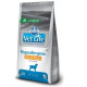 Farmina Vet Life Dog Hypoallergenic Fish & Potato сухой корм для взрослых собак с пищевой аллергией с рыбой и картофелем - 12 кг