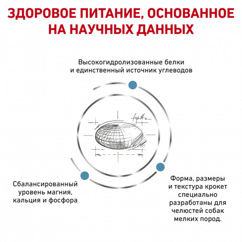 Royal Canin Hypoallergenic HSD 24 Small Dog для взрослых собак при пищевой аллергии - 1 кг