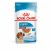 Royal Canin Medium Puppy влажный корм для щенков средних пород - 140 г*10 шт