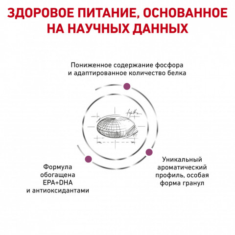 Royal Canin Renal RF23 для взрослых кошек с хронической почечной недостаточностью - 400 г