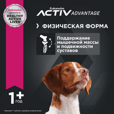Сухой корм Eukanuba Adult Medium Breed для собак средних пород с курицей - 15 кг