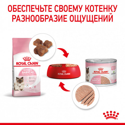 Royal Canin Babycat Instinctive влажный корм в консервах для котят с рождения до 4 месяцев - 195 г*12шт