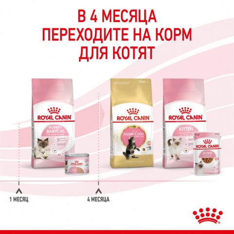Royal Canin Babycat Instinctive влажный корм в консервах для котят с рождения до 4 месяцев - 195 г*12шт
