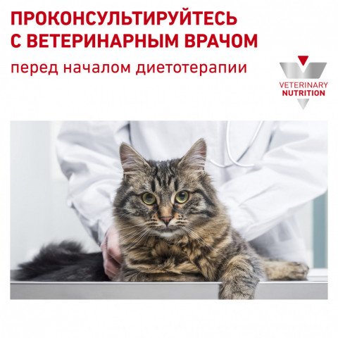 Royal Canin Renal Feline Chicken для кошек с почечной недостаточностью с курицей - 85 г*12 шт