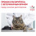 Royal Canin Renal Feline Chicken для кошек с почечной недостаточностью с курицей - 85 г*12 шт